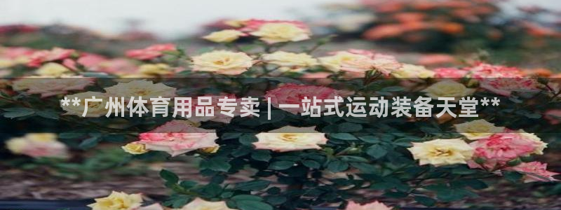 欧陆娱乐能提现嘛现在：**广州体育用品专卖 | 一站