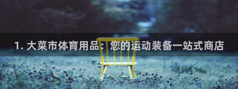 欧陆娱乐能不能玩：1. 大菜市体育用品：您的运动装备