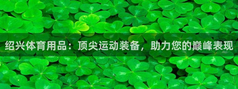 欧陆娱乐脚本怎么用：绍兴体育用品：顶尖运动装备，助力