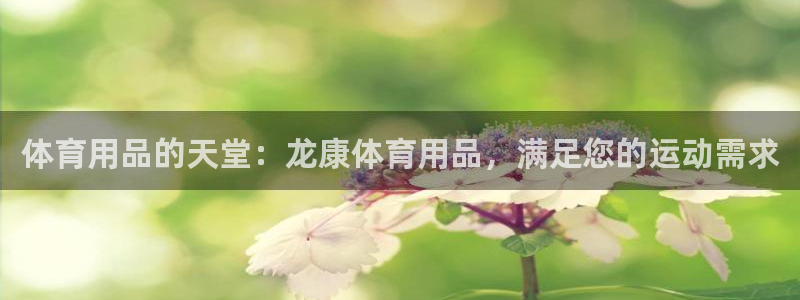 欧陆平台：体育用品的天堂：龙康体育用品，满足您的运动