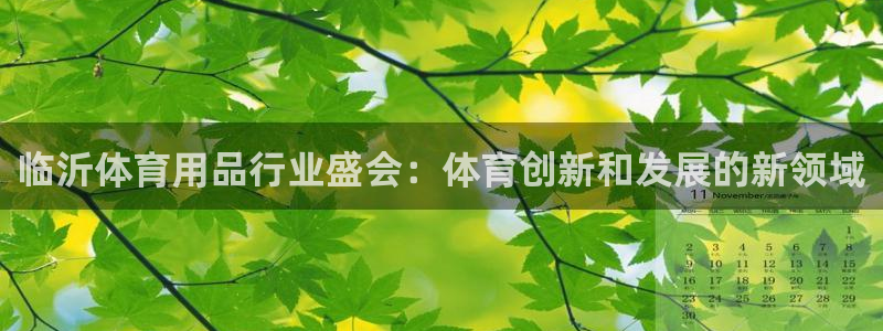 欧陆娱乐微信：临沂体育用品行业盛会：体育创新和发展的