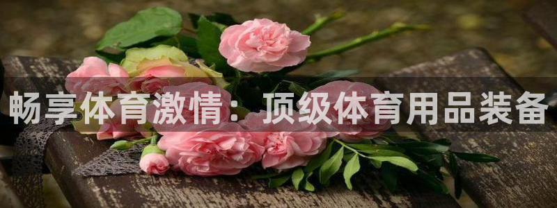 欧陆娱乐：畅享体育激情：顶级体育用品装备