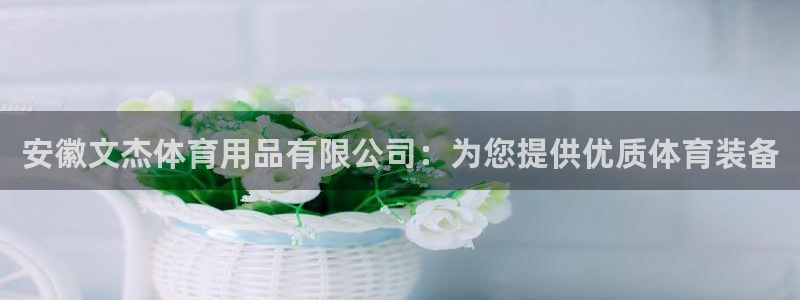 欧陆娱乐平台咋样啊安全吗：安徽文杰体育用品有限公司：