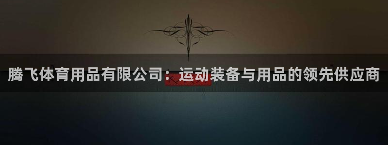 欧陆论坛：腾飞体育用品有限公司：运动装备与用品的领先