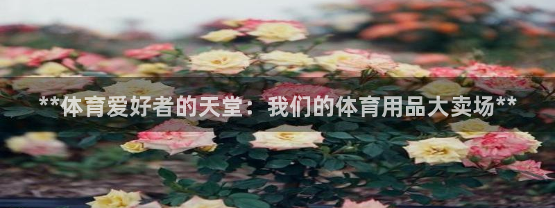 欧陆娱乐怎么注册会员号：**体育爱好者的天堂：我们的