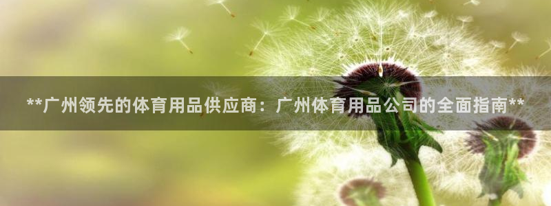 欧陆娱乐打什么方案赚钱：**广州领先的体育用品供应商
