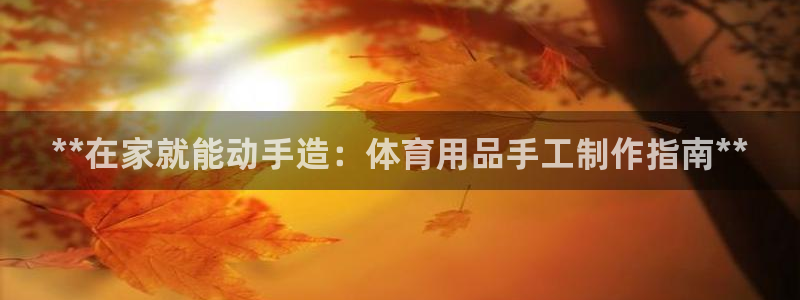 欧陆娱乐有限公司：**在家就能动手造：体育用品手工制