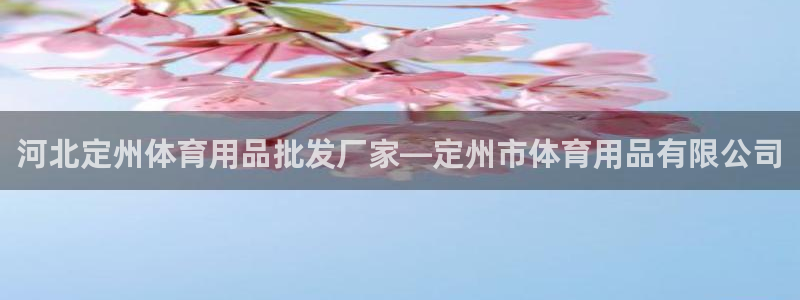欧陆娱乐平台登录不上怎么办：河北定州体育用品批发厂家