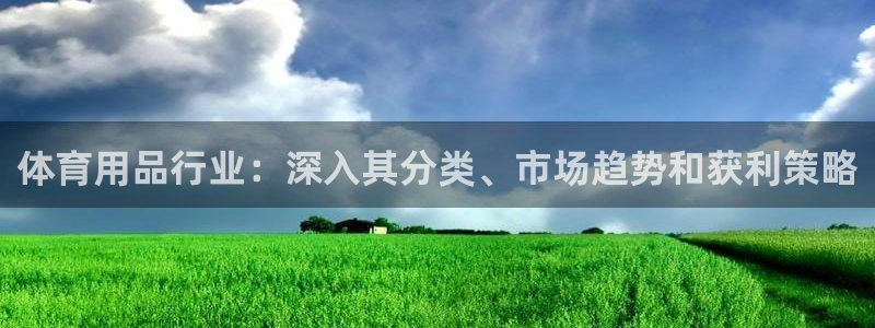 欧陆娱乐代理多少个点位：体育用品行业：深入其分类、市