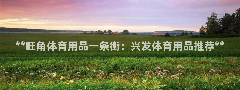 欧陆娱乐能不能玩：**旺角体育用品一条街：兴发体育用