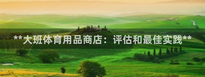 欧陆娱乐能赚钱吗现在：**大班体育用品商店：评估和最