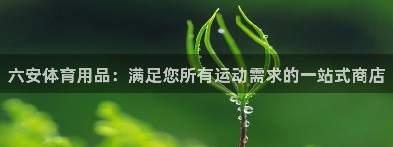 欧陆娱乐登陆官网下载：六安体育用品：满足您所有运动需