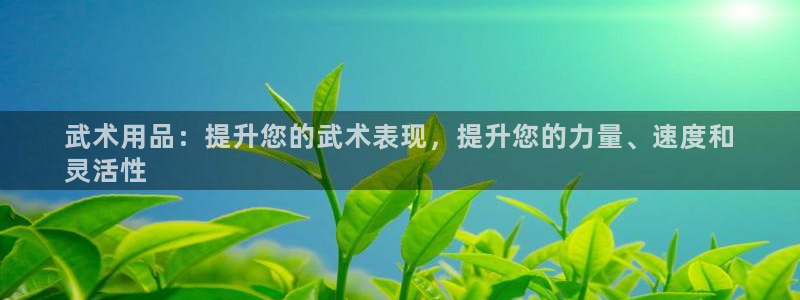 欧陆娱乐能赚钱吗现在：武术用品：提升您的武术表现，提升您的力