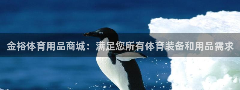 欧陆娱乐平台毕 (q—43314) 旨：金裕体育用品