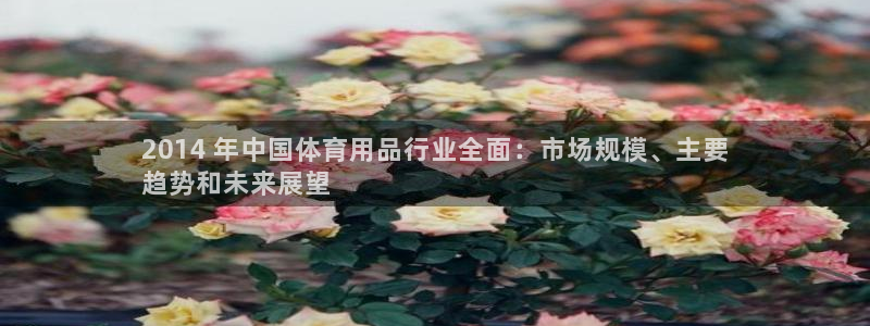 欧陆娱乐客服电话号码：2014 年中国体育用品行业全