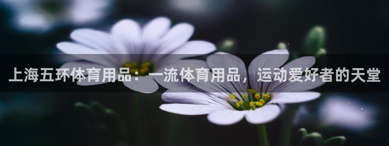 欧陆娱乐公司产品介绍大全