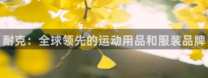 欧陆娱乐测试官网：耐克：全球领先的运动用品和服装品牌
