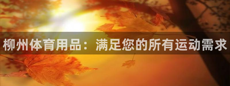 欧陆娱乐平台登陆地址：柳州体育用品：满足您的所有运动