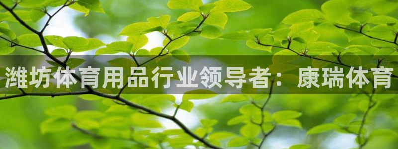 欧陆娱乐简介：潍坊体育用品行业领导者：康瑞体育