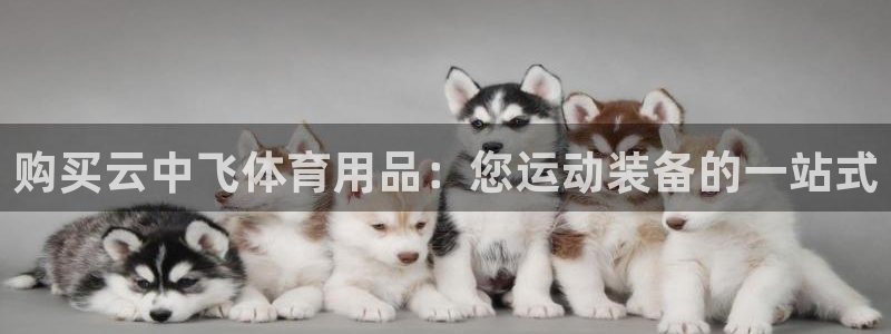 欧陆娱乐是什么：购买云中飞体育用品：您运动装备的一站