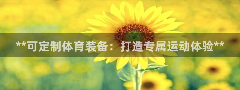 欧陆娱乐平台咋样啊赚钱：**可定制体育装备：打造专属