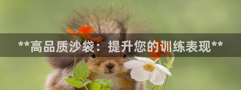 欧陆娱乐息7o777ts=0：**高品质沙袋：提升您