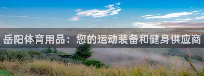 欧陆软件官网：岳阳体育用品：您的运动装备和健身供应商