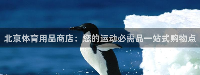 欧陆娱乐计划预测软件哪个好：北京体育用品商店：您的运