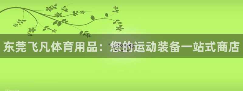 欧陆娱乐有限公司：东莞飞凡体育用品：您的运动装备一站