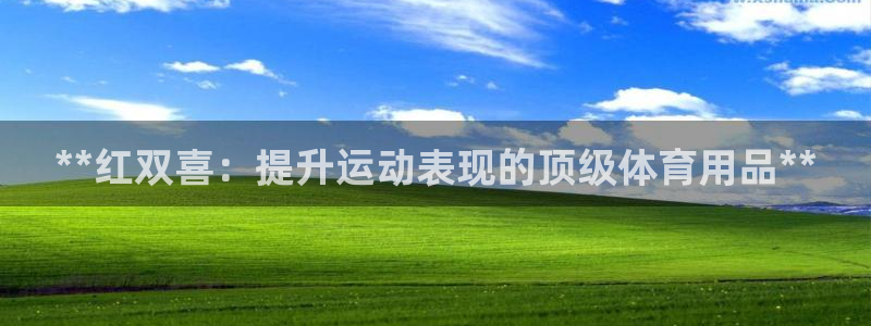 欧陆娱乐注册链接怎么弄：**红双喜：提升运动表现的顶