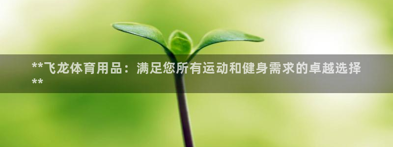 欧陆娱乐登录平台下载：**飞龙体育用品：满足您所有运