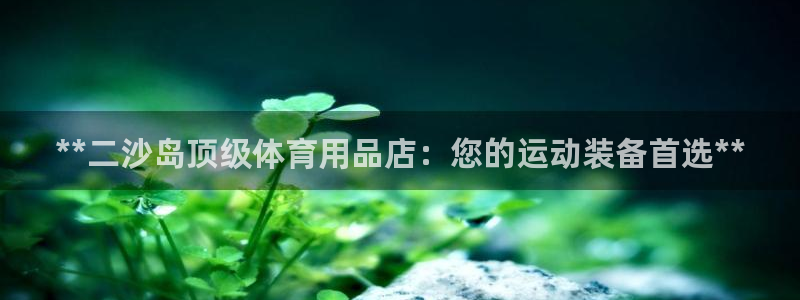 欧陆娱乐官网入口下载：**二沙岛顶级体育用品店：您的