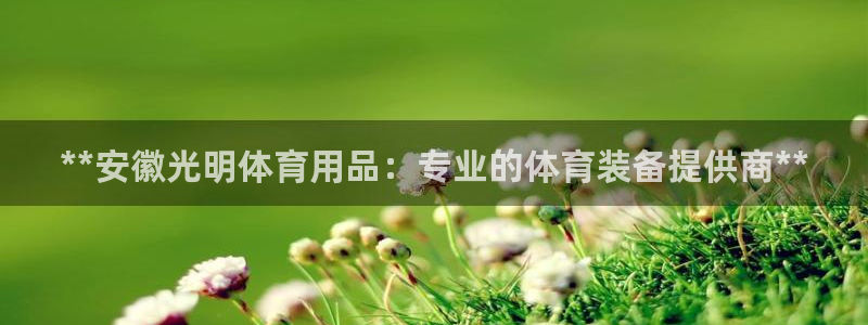 欧陆娱乐怎么注册帐号啊：**安徽光明体育用品：专业的