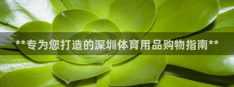 欧陆娱乐能赚钱吗：**专为您打造的深圳体育用品购物指
