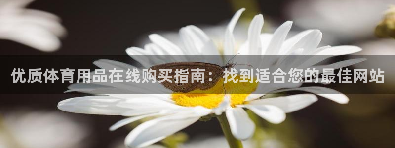 欧陆娱乐是正规吗?：优质体育用品在线购买指南：找到适