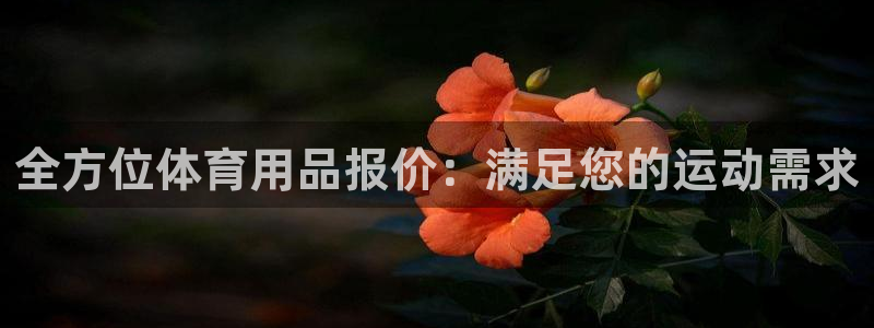 欧陆娱乐试玩官网：全方位体育用品报价：满足您的运动需