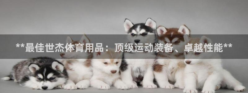 欧陆娱乐测速：**最佳世杰体育用品：顶级运动装备、卓