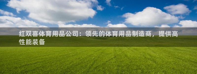 欧陆娱乐脚本怎么下载：红双喜体育用品公司：领先的体育用品制造