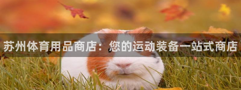 欧陆娱乐平台登陆地址是什么样的：苏州体育用品商店：您的运动装