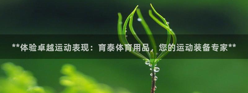 欧陆娱乐登录测速：**体验卓越运动表现：育泰体育用品