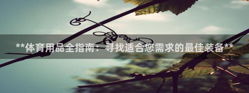 欧陆娱乐官网下载安装：**体育用品全指南：寻找适合您