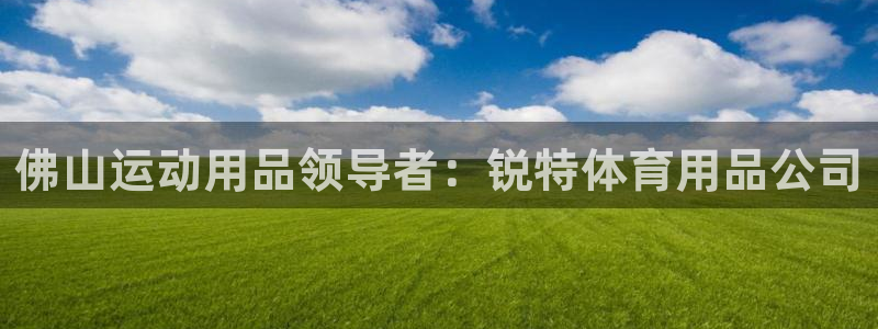 欧陆娱乐app打不开怎么回事儿：佛山运动用品领导者：