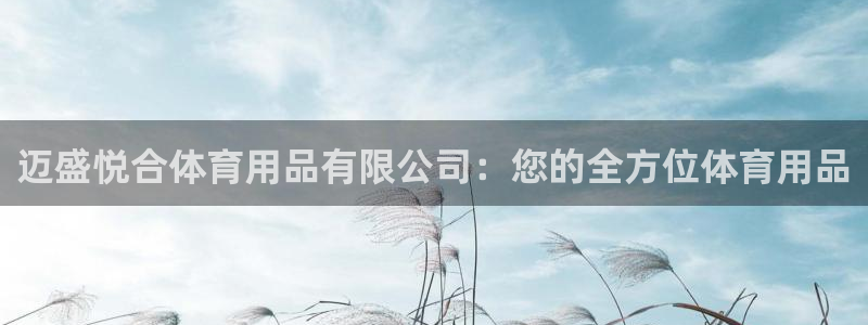 欧陆娱乐游戏：迈盛悦合体育用品有限公司：您的全方位体