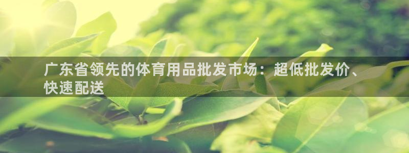 欧陆娱乐登录官网网址：广东省领先的体育用品批发市场：