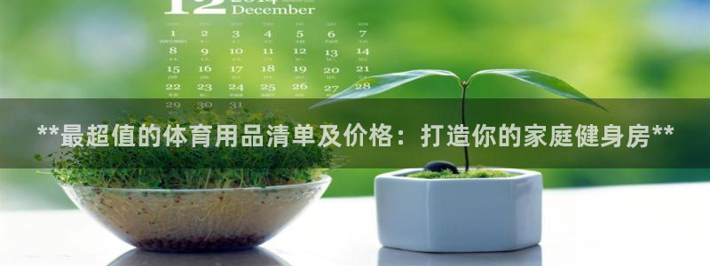 欧陆娱乐有限公司官网：**最超值的体育用品清单及价格：打造你