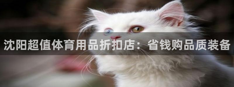 欧陆娱乐简介：沈阳超值体育用品折扣店：省钱购品质装备