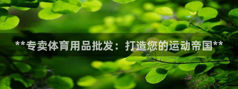 欧陆娱乐客服服务：**专卖体育用品批发：打造您的运动