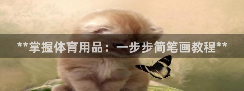 欧陆娱乐有限公司怎么样：**掌握体育用品：一步步简笔画教程*