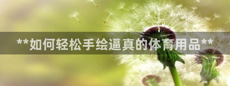 欧陆娱乐测试：**如何轻松手绘逼真的体育用品**