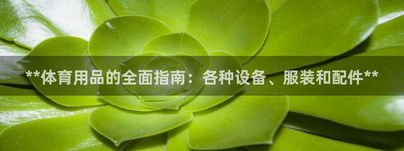 欧陆娱乐是那个旗下的品牌：**体育用品的全面指南：各